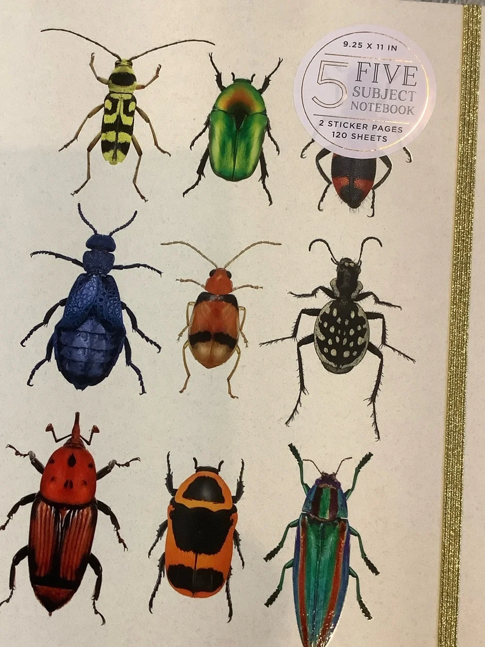 James Burke Collection Colorful Bugs Five Subject Notebook NWT 9.25x11” 120 page